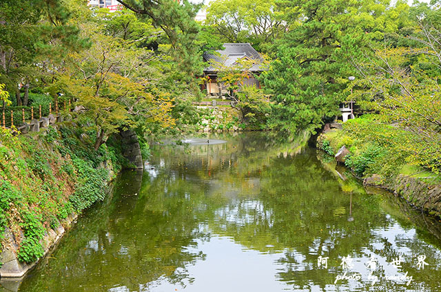 岡崎公園-名古屋港D7000 030.JPG