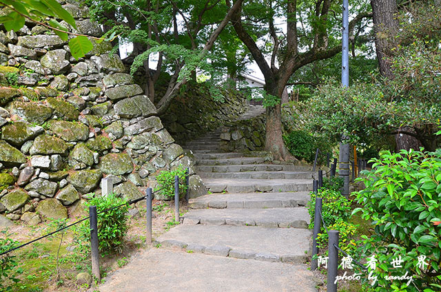 岡崎公園-名古屋港D7000 032.JPG