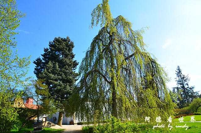 【捷克•Telč】泰爾奇　繽紛可愛的世界遺產小鎮