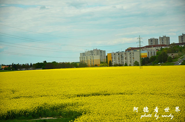 【捷克•Čáslav】恰斯拉夫　無名小鎮遇見夢幻湖景