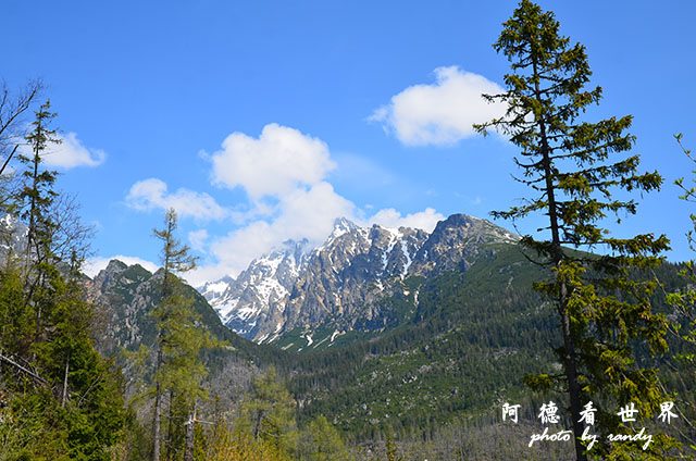 【斯洛伐克•Vysoké Tatry】上塔特拉山鎮　搭乘地面