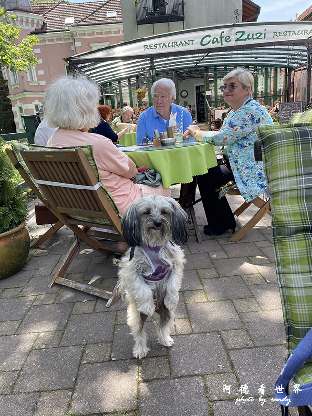 【斯洛伐克•Trenčín】特倫欽、特倫欽溫泉鎮Trenči
