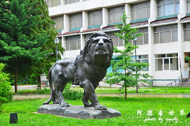 【保加利亞•Pazardzhik】帕扎爾吉克 　假日除了咖啡