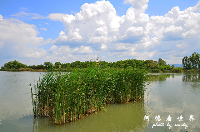 【保加利亞•Kazanlak】寂靜角落湖畔餐廳Тихият 