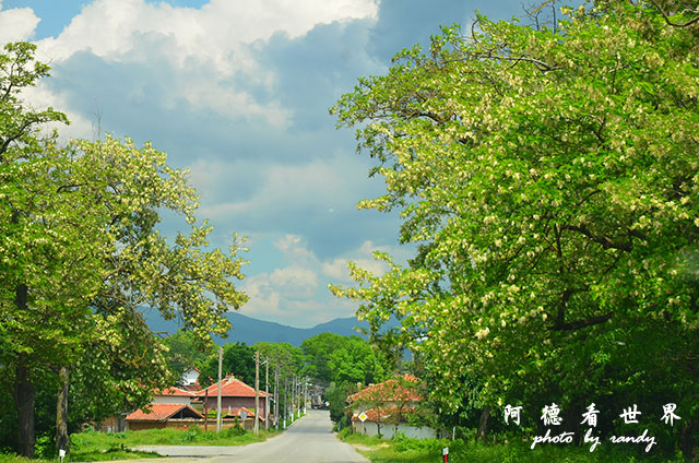 【保加利亞•Kazanlak】寂靜角落湖畔餐廳Тихият 