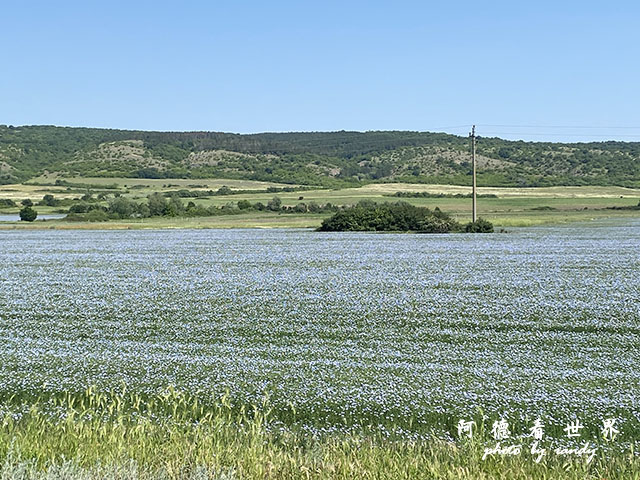 【保加利亞•Burgas】布爾加斯　保加利亞黑海沿岸的交通樞