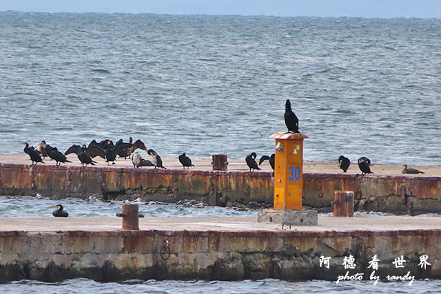 【保加利亞•Nesebar】內塞伯爾　黑海沿岸遊客最多的觀光
