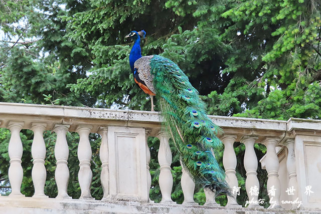 【羅馬尼亞•Bucharest】羅馬尼亞農村博物館、Ceau