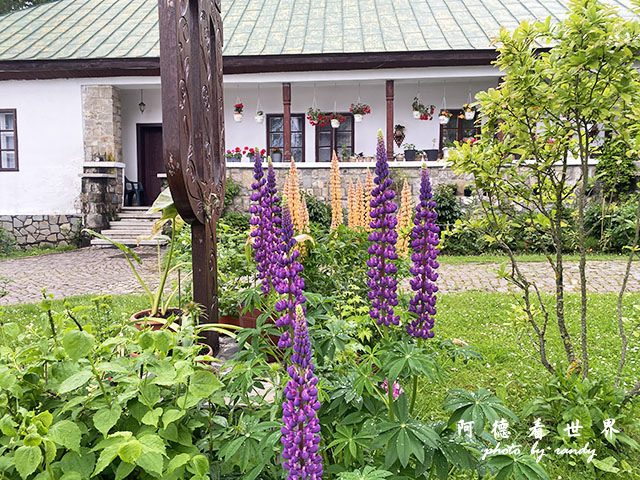 【羅馬尼亞•Sinaia】錫納亞　喀爾巴阡山脈的明珠　王室度