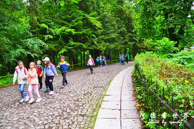 【羅馬尼亞•Sinaia】Castelul Peleș　羅馬