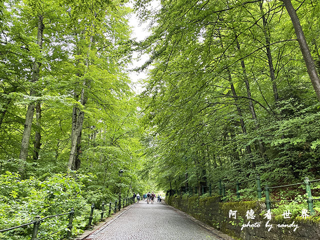 【羅馬尼亞•Sinaia】Castelul Peleș　羅馬