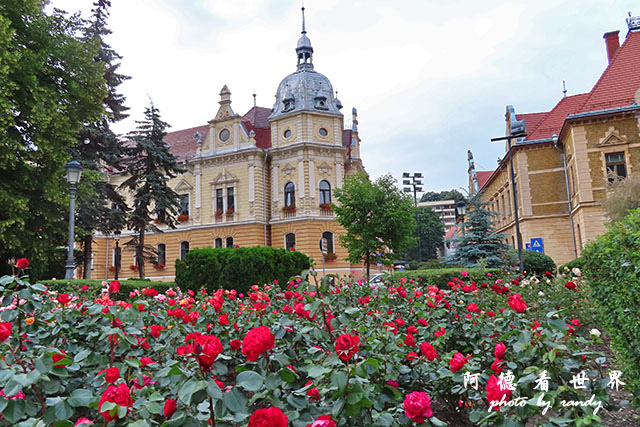 【羅馬尼亞•Brasov】布拉索夫舊城漫步 【羅馬尼亞•Brasov】布拉索夫舊城漫步
