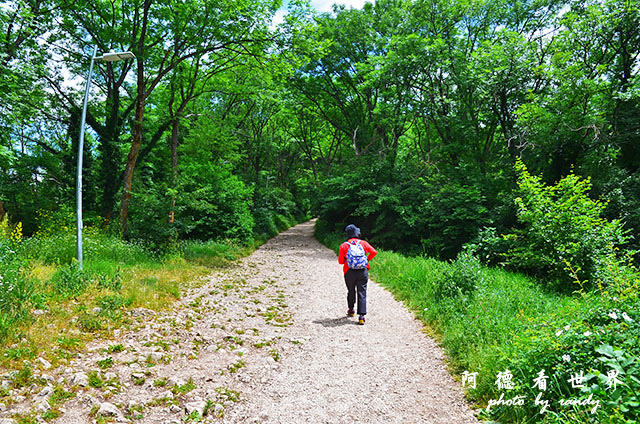 【【羅馬尼亞•Brasov】布拉索夫舊城外環散步 從坦帕山欣 【【羅馬尼亞•Brasov】布拉索夫舊城外環散步 從坦帕山欣