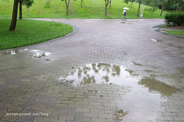 四號公園990615 四號公園990615