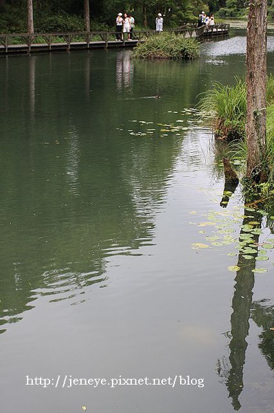 福山植物園980824