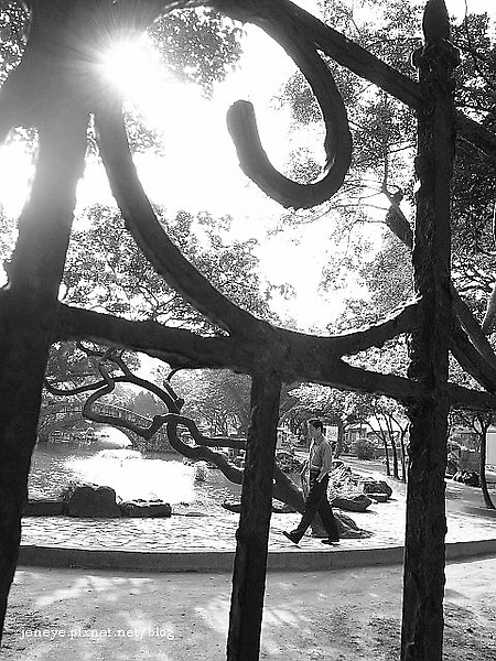 228公園 990324 228公園 990324