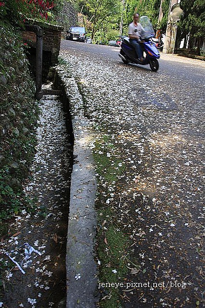 花園新城990504 花園新城990504