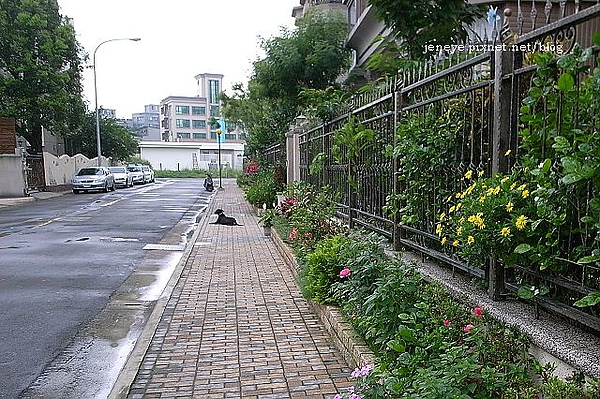 林口990610 林口990610