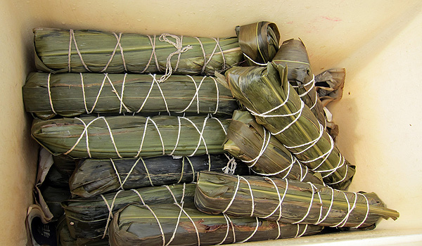 小米粽 小米粽