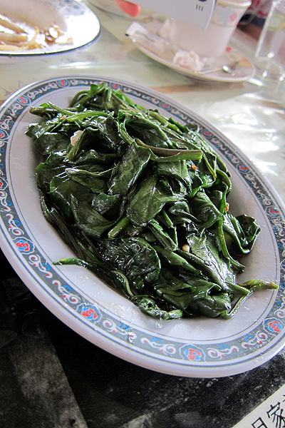 不知名的山菜 不知名的山菜