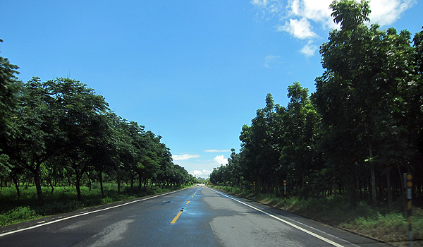 延山公路 延山公路