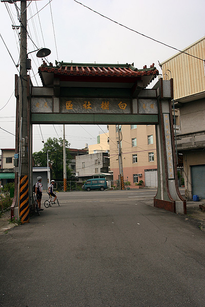 橋頭 白樹社區