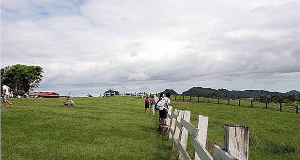 初鹿牧場隨拍