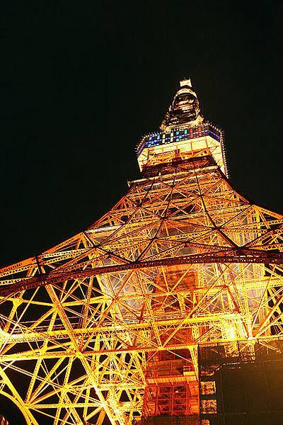 入夜的東京鐵塔
