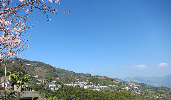 隙頂 隙頂
