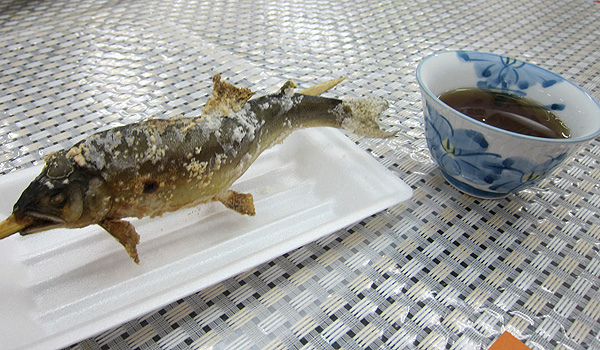 鹽烤香魚+麥茶