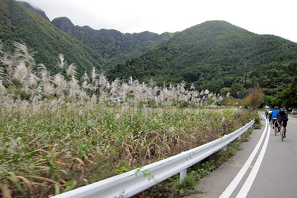 芒草&車友們