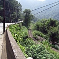 集集線沿路風景