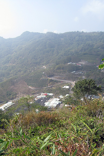 這方向可以往茶山部落