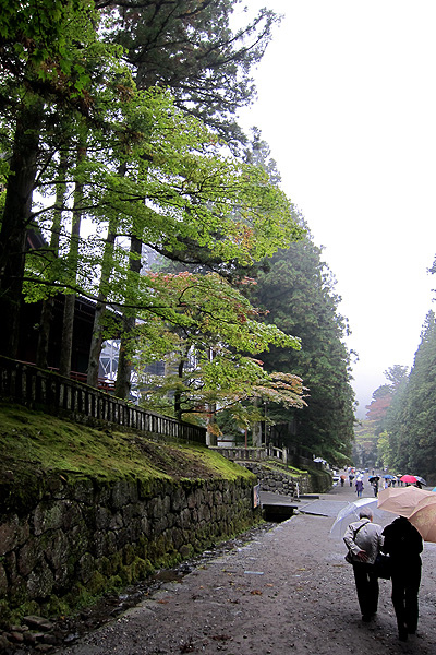 日光東照宮隨拍