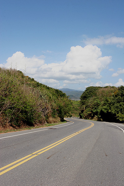 沿路亂拍