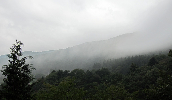 窗外風景 窗外風景