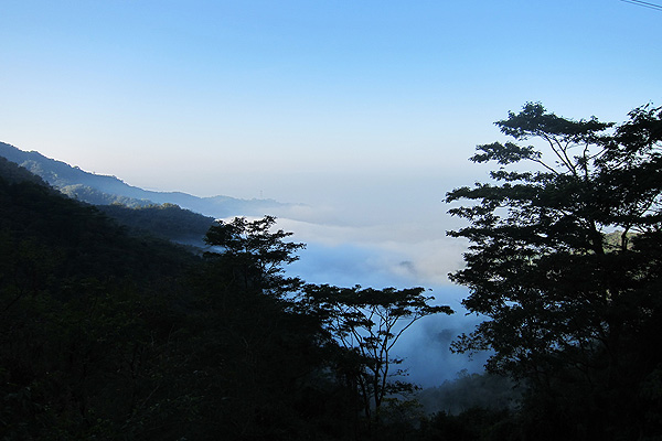 雲海