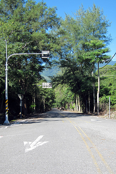 武陵綠色隧道