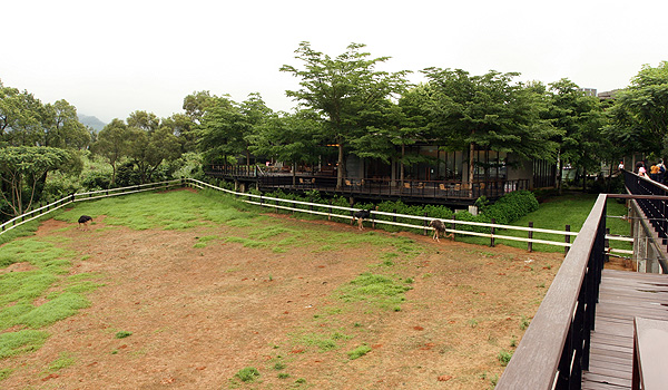 原生應用植物園隨拍