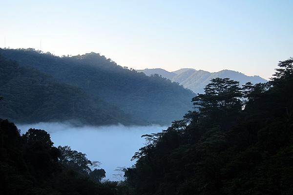 雲海 雲海