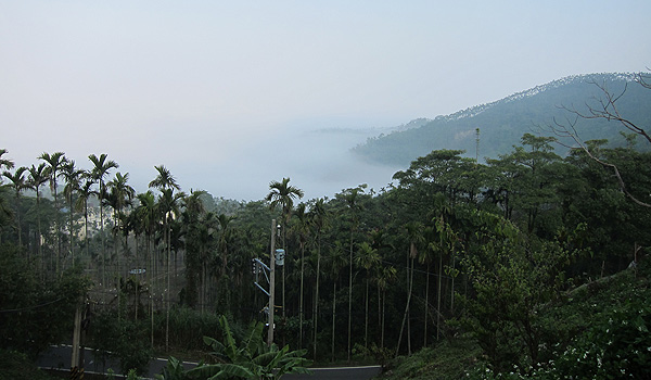 雲海