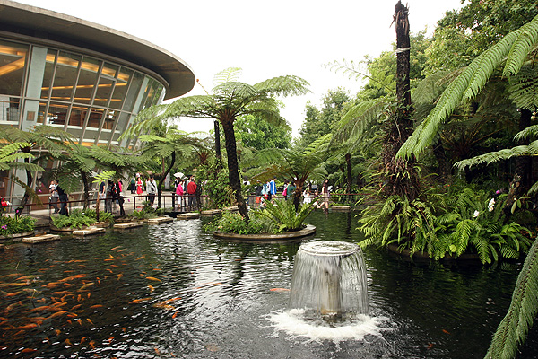 原生應用植物園隨拍 原生應用植物園隨拍