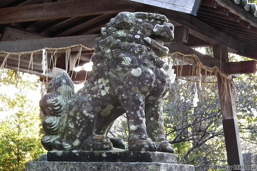 Idawara Jinja - Shima (Japon - photos - Japan).jpg