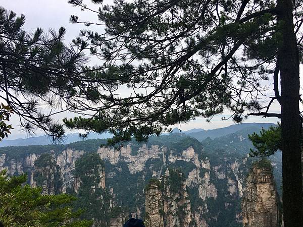 【大陸旅遊】湖南張家界自由行攻略|武陵源、大峽谷玻璃橋、天門山玻璃棧道五日遊