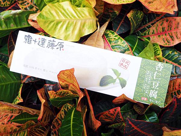 【台南美食】雅+達藤原豆腐|日式純手工豆腐酪,台南必買伴手禮