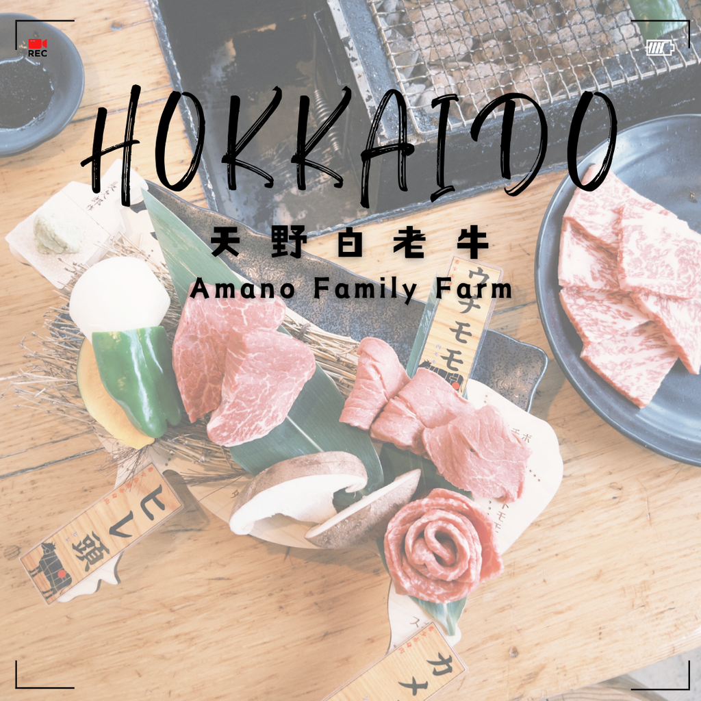 【北海道美食】Amano Family Farm天野白老牛｜