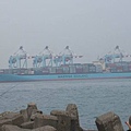 MAERSK貨櫃船