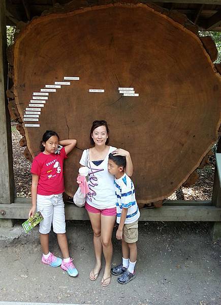 Big Basin Redwood State Park