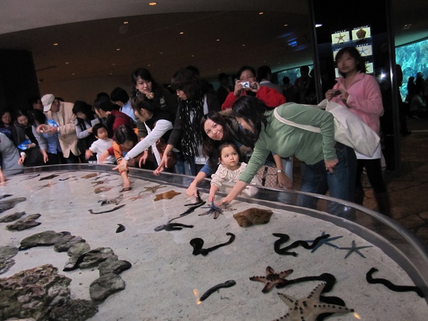 Okinawa_1th49.jpg