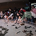 Okinawa_1th49.jpg